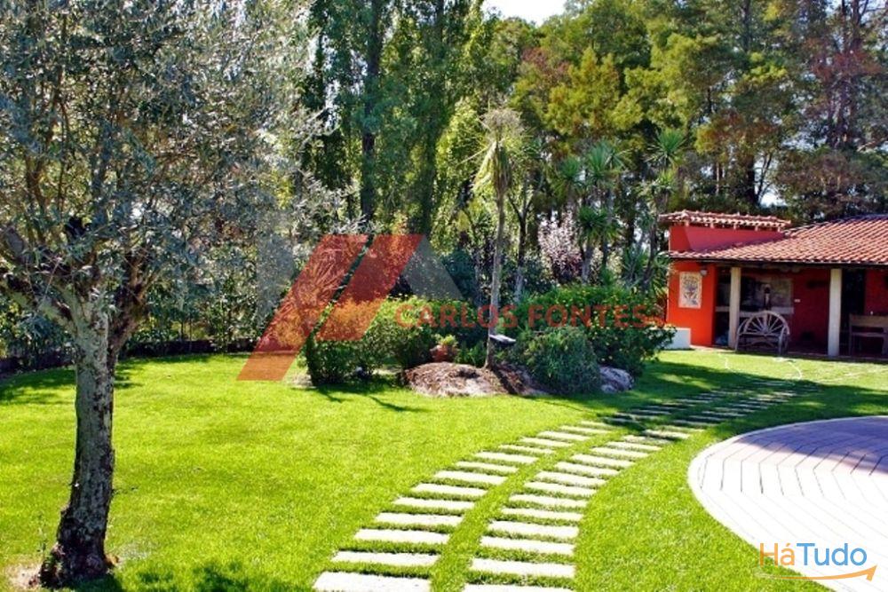 FANTASTICA QUINTA EM SANTO TIRSO!!! FANTASTICA QUINTA EM SANTO TIRSO!!!