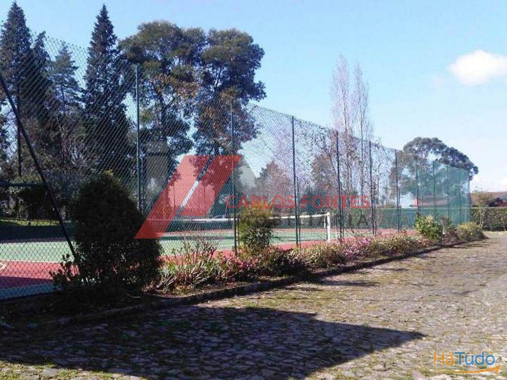 FANTASTICA QUINTA EM SANTO TIRSO!!! FANTASTICA QUINTA EM SANTO TIRSO!!!