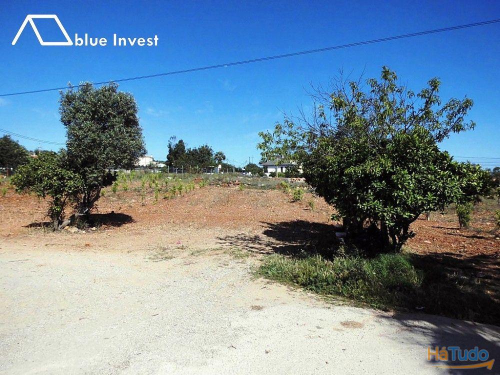 Quinta em Santa Barbara de Nexe. Quinta em Santa Barbara de Nexe.