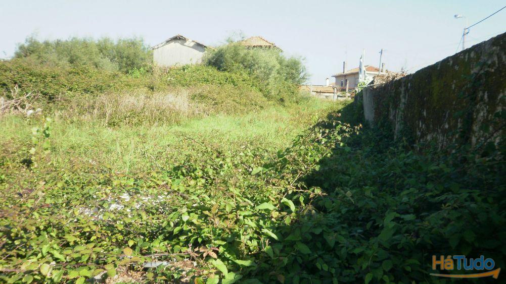 TERRENO PARA CONSTRUÇÃO EM GRIJO.