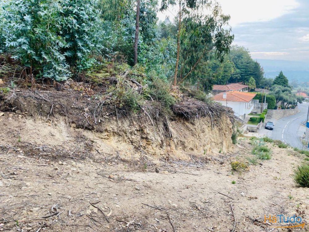 Terreno com 2600m2 de construção em Tamel S. Fins Terreno com 2600m2 de construção em Tamel S. Fins