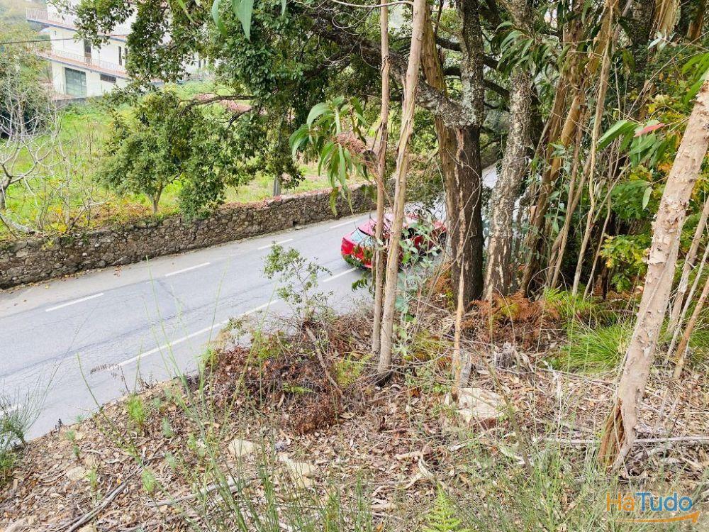 Terreno com 2600m2 de construção em Tamel S. Fins Terreno com 2600m2 de construção em Tamel S. Fins