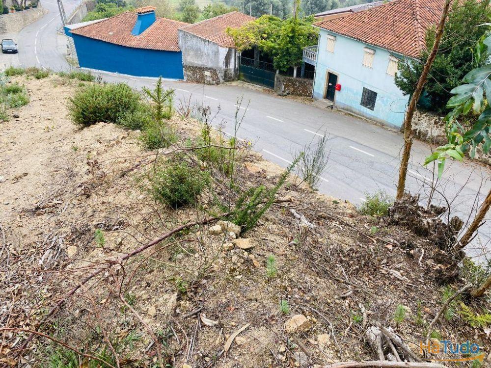 Terreno com 2600m2 de construção em Tamel S. Fins Terreno com 2600m2 de construção em Tamel S. Fins