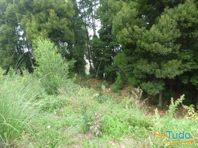 Terreno Monte da Vigem para construção Terreno Monte da Vigem para construção