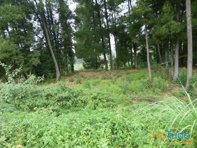 Terreno Monte da Vigem para construção Terreno Monte da Vigem para construção