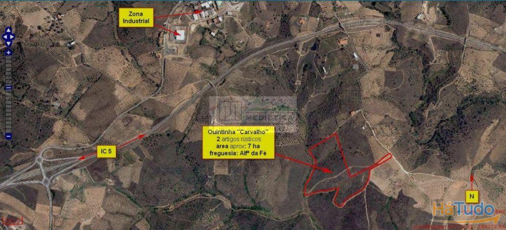 Quinta junto à Vila de Alfândega da Fé Quinta junto à Vila de Alfândega da Fé