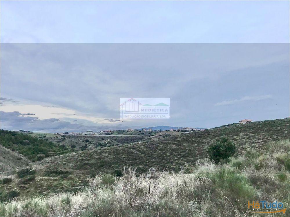 Quinta junto à Vila de Alfândega da Fé Quinta junto à Vila de Alfândega da Fé