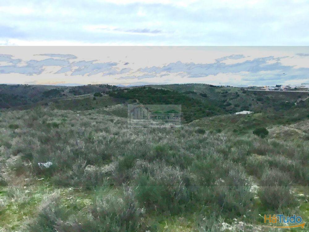 Quinta junto à Vila de Alfândega da Fé Quinta junto à Vila de Alfândega da Fé