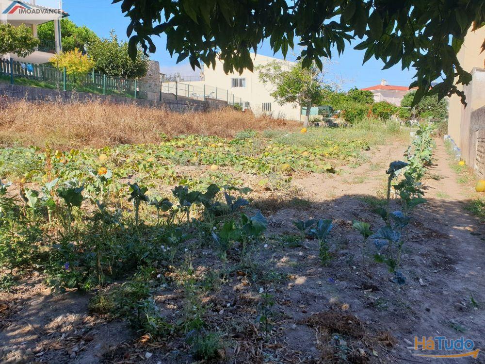Terreno com Viabilidade de Construção na Figueira da Foz Terreno com Viabilidade de Construção na Figueira da Foz