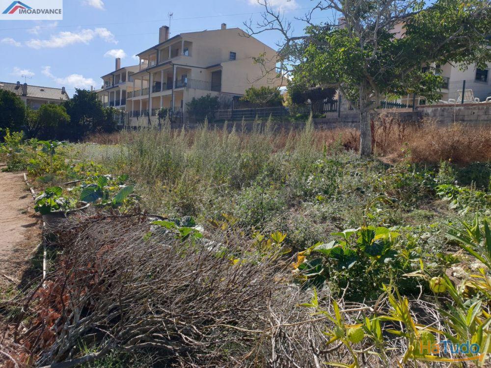 Terreno com Viabilidade de Construção na Figueira da Foz Terreno com Viabilidade de Construção na Figueira da Foz
