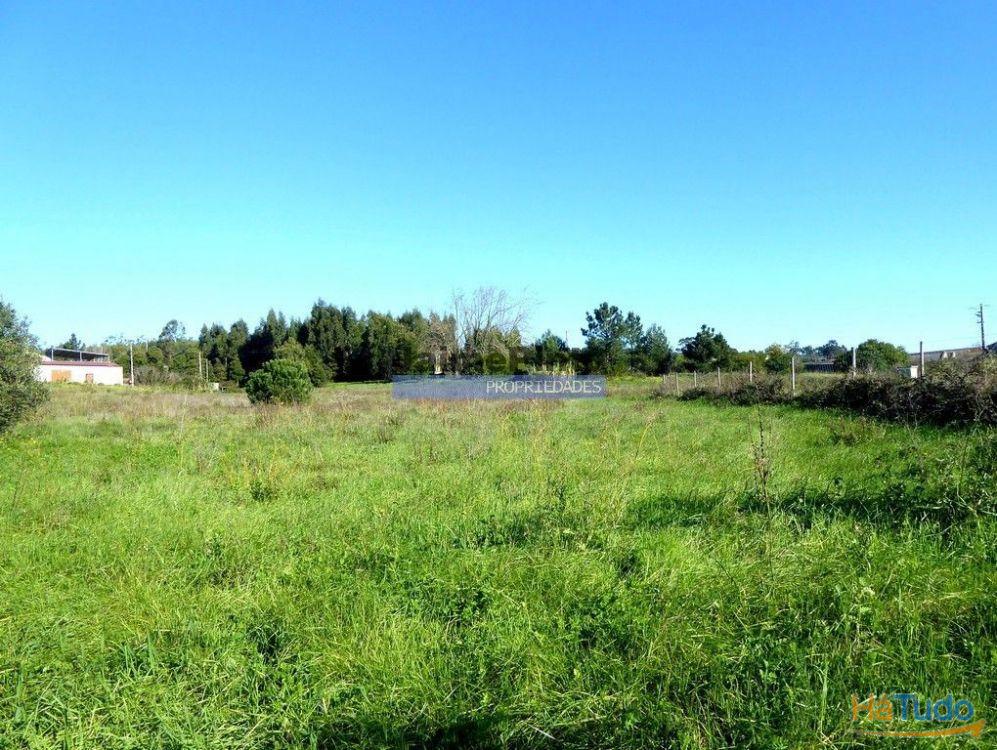 Terreno p/ construção na Figueira da Foz, cidade. Portugal, Figueira da Foz. Terreno p/ construção na Figueira da Foz, cidade. Portugal, Figueira da Foz.