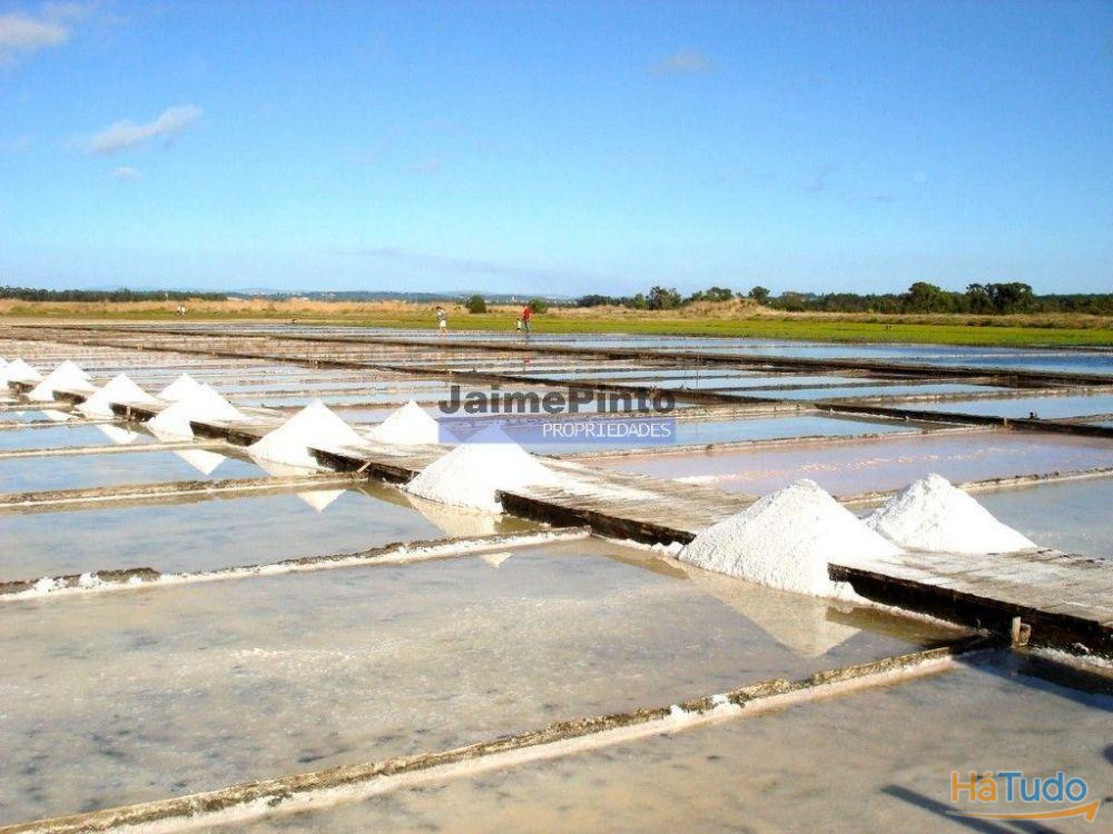 6,1 ha TERRENO próximo rio Mondego. Portugal, Coimbra, Figueira da Foz. 6,1 ha TERRENO próximo rio Mondego. Portugal, Coimbra, Figueira da Foz.