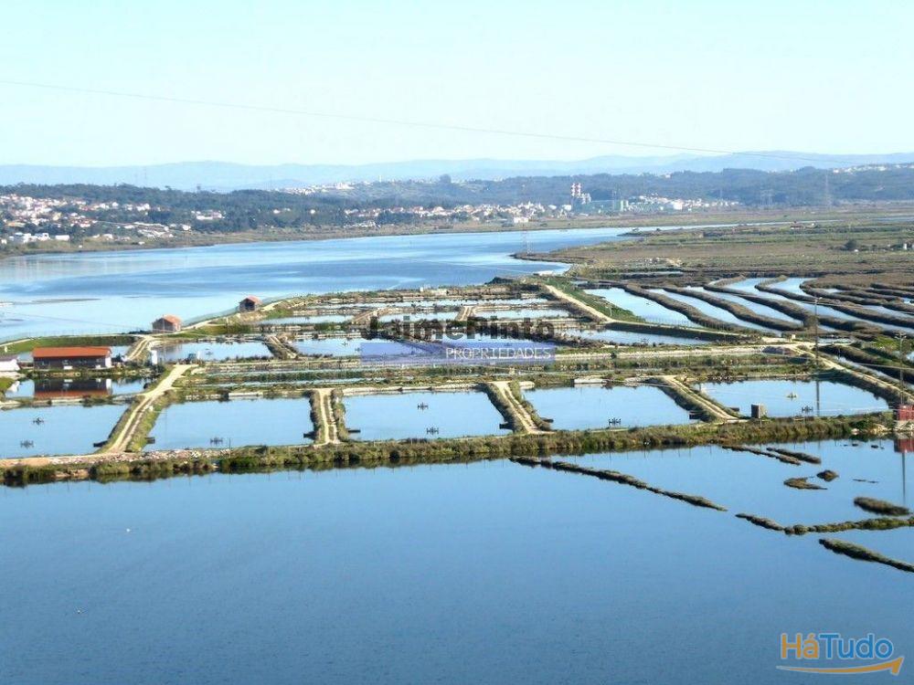 6,1 ha TERRENO próximo rio Mondego. Portugal, Coimbra, Figueira da Foz. 6,1 ha TERRENO próximo rio Mondego. Portugal, Coimbra, Figueira da Foz.