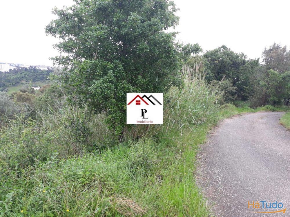 Terreno para construção junto ao Monte Formoso (V415PL) Terreno para construção junto ao Monte Formoso (V415PL)