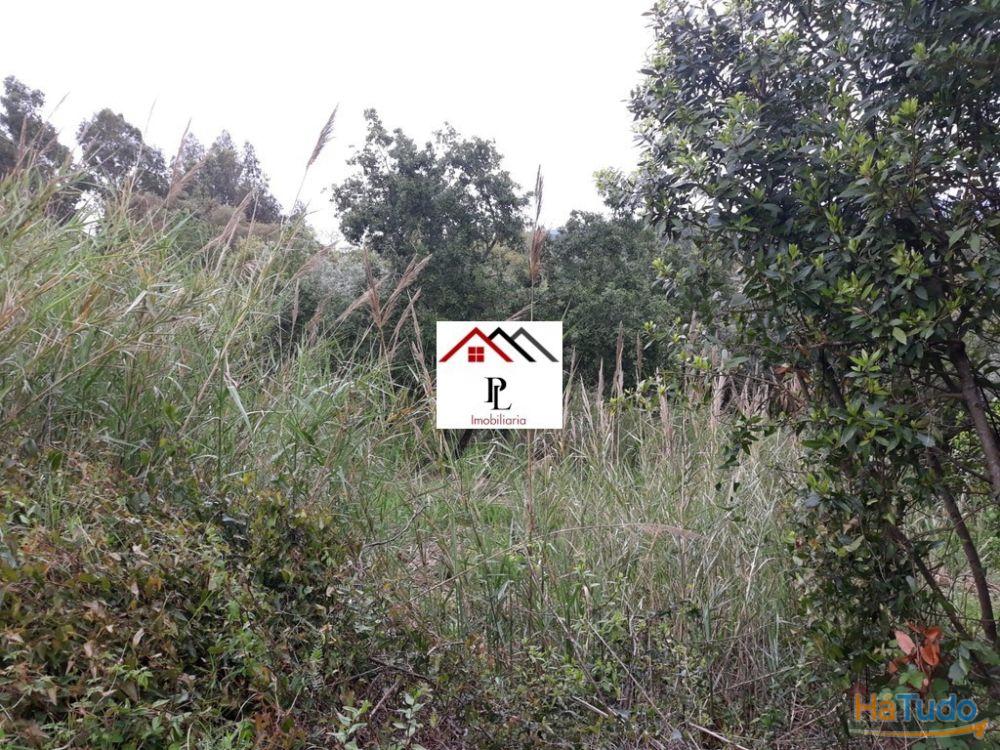 Terreno para construção junto ao Monte Formoso (V415PL) Terreno para construção junto ao Monte Formoso (V415PL)