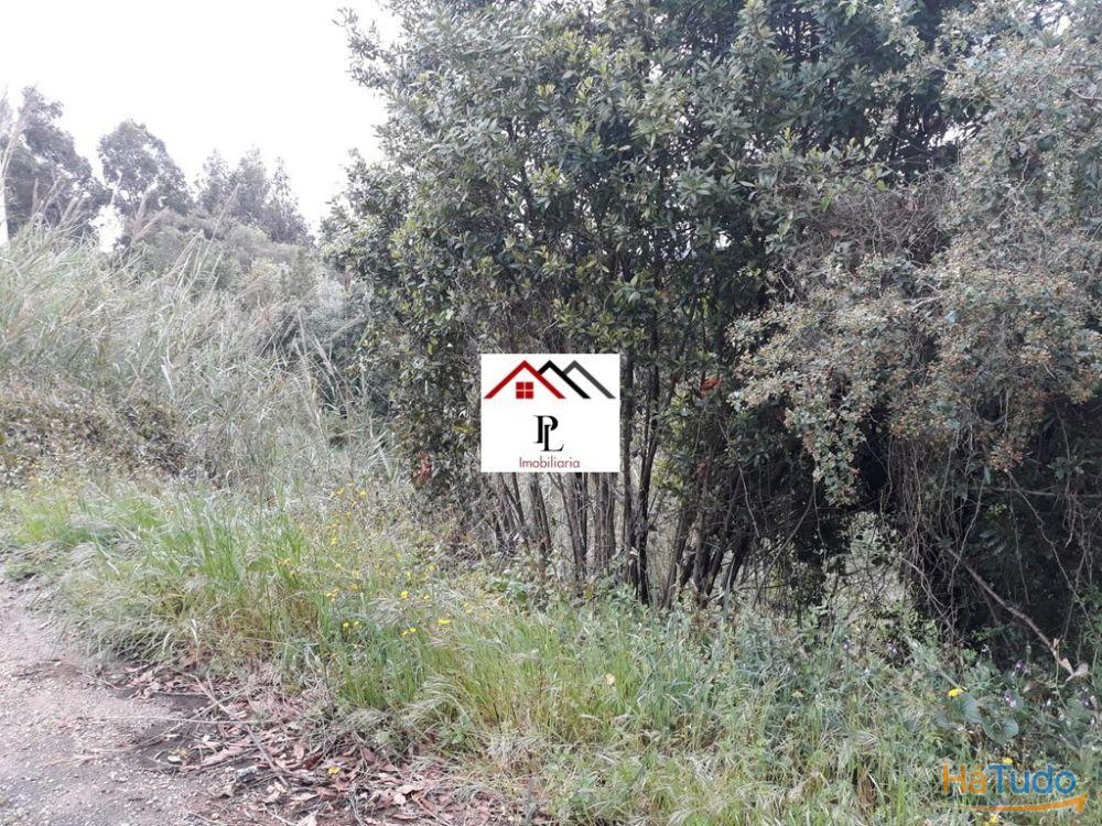 Terreno para construção junto ao Monte Formoso (V415PL) Terreno para construção junto ao Monte Formoso (V415PL)