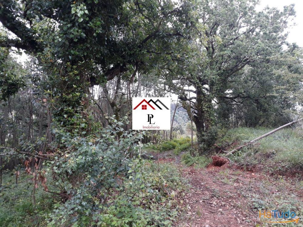 Terreno para construção junto ao Monte Formoso (V415PL) Terreno para construção junto ao Monte Formoso (V415PL)