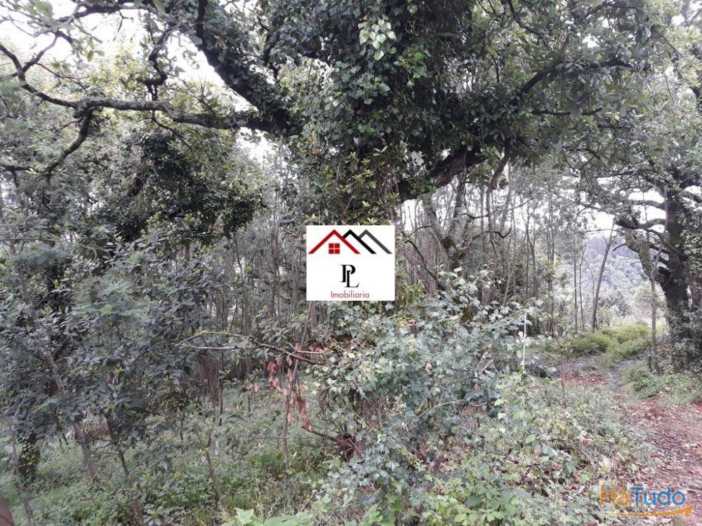 Terreno para construção junto ao Monte Formoso (V415PL) Terreno para construção junto ao Monte Formoso (V415PL)