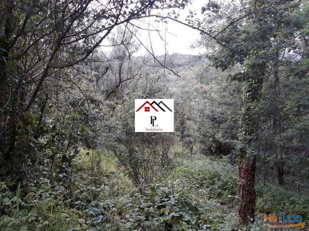 Terreno para construção junto ao Monte Formoso (V415PL) Terreno para construção junto ao Monte Formoso (V415PL)