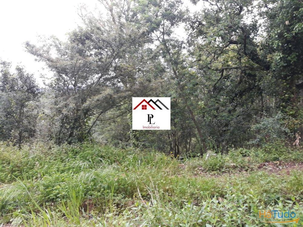 Terreno para construção junto ao Monte Formoso (V415PL) Terreno para construção junto ao Monte Formoso (V415PL)