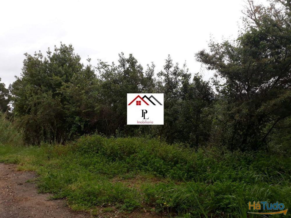 Terreno para construção junto ao Monte Formoso (V415PL) Terreno para construção junto ao Monte Formoso (V415PL)