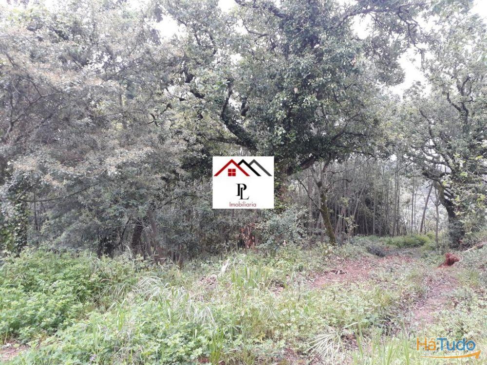 Terreno para construção junto ao Monte Formoso (V415PL) Terreno para construção junto ao Monte Formoso (V415PL)