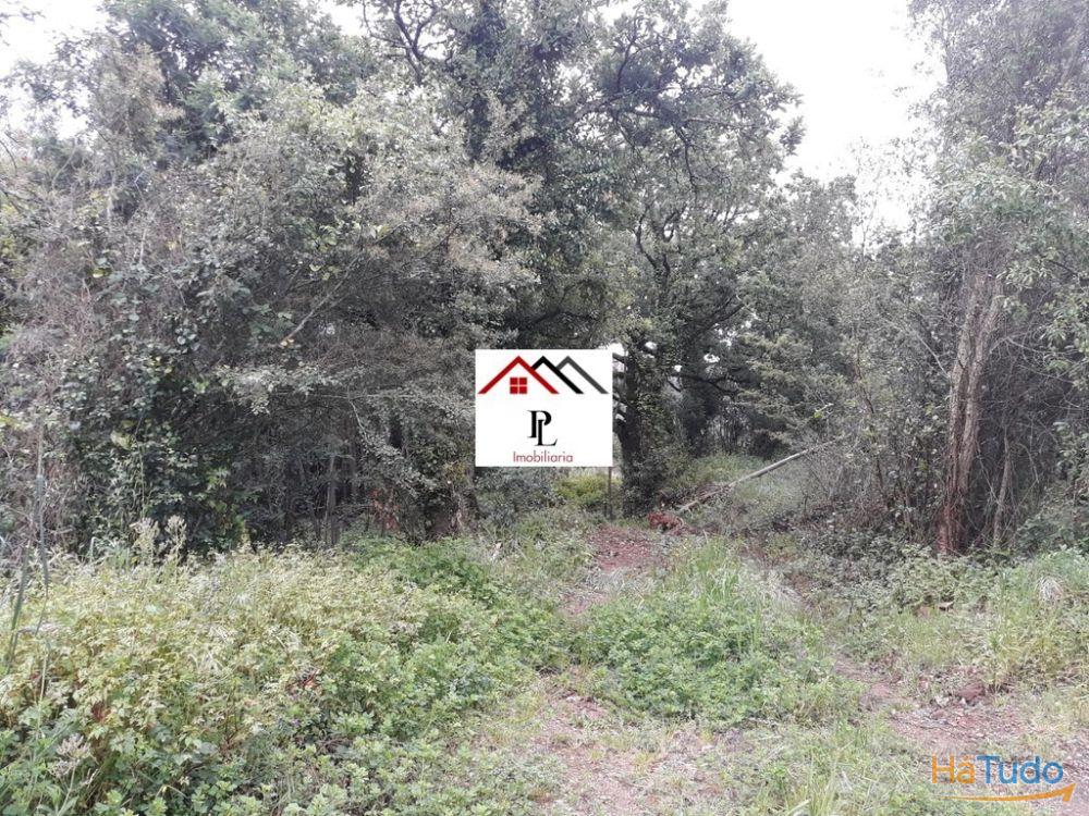 Terreno para construção junto ao Monte Formoso (V415PL) Terreno para construção junto ao Monte Formoso (V415PL)