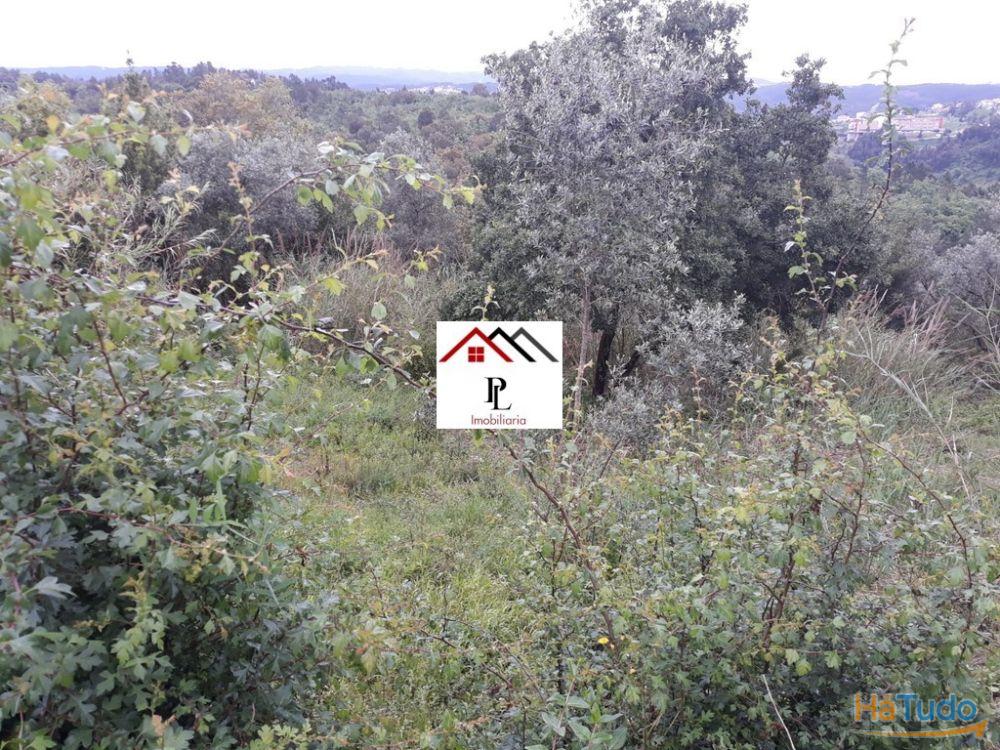 Terreno para construção junto ao Monte Formoso (V415PL) Terreno para construção junto ao Monte Formoso (V415PL)