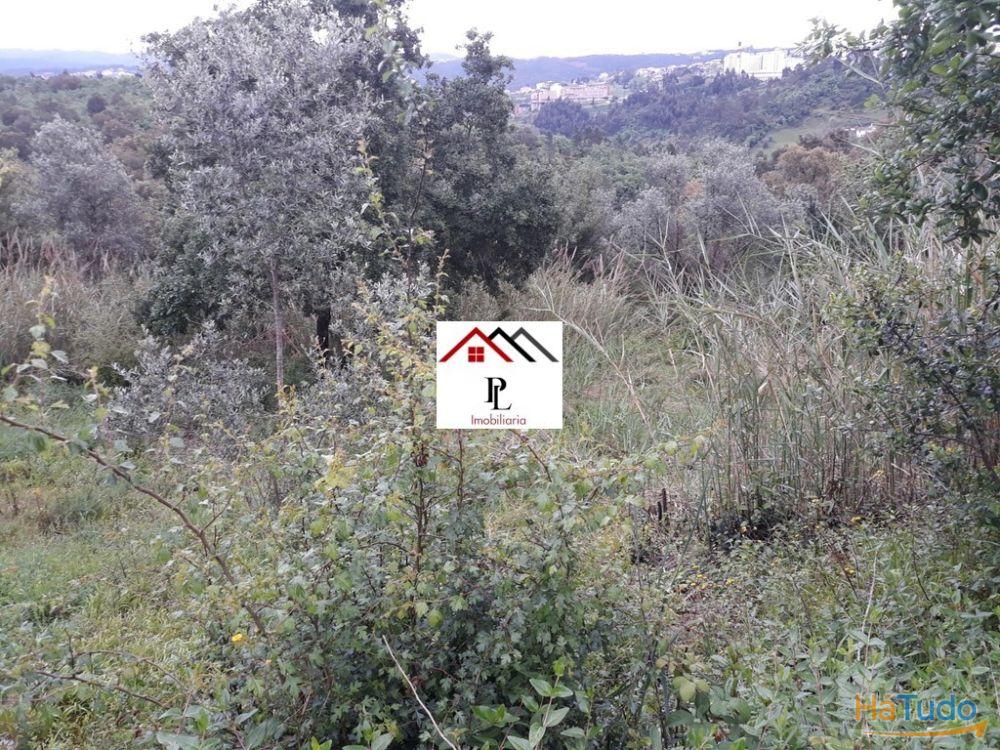 Terreno para construção junto ao Monte Formoso (V415PL) Terreno para construção junto ao Monte Formoso (V415PL)