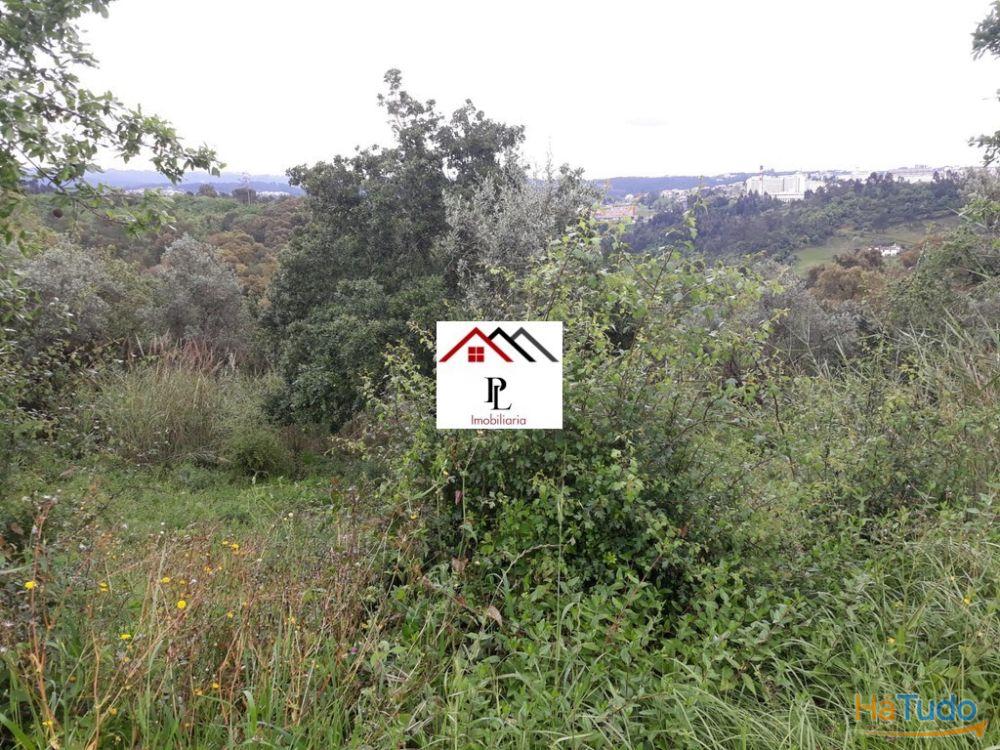 Terreno para construção junto ao Monte Formoso (V415PL) Terreno para construção junto ao Monte Formoso (V415PL)