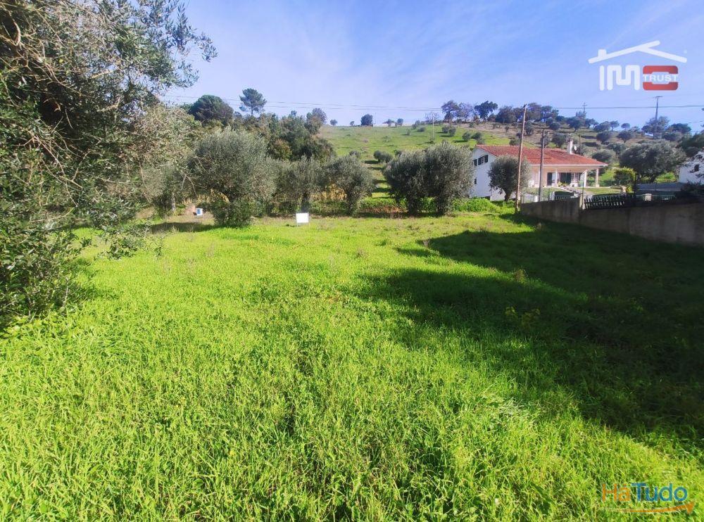 Terreno com possibilidade de construção a 2 Km da Cidade de Ourém Terreno com possibilidade de construção a 2 Km da Cidade de Ourém