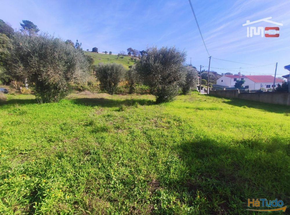 Terreno com possibilidade de construção a 2 Km da Cidade de Ourém Terreno com possibilidade de construção a 2 Km da Cidade de Ourém