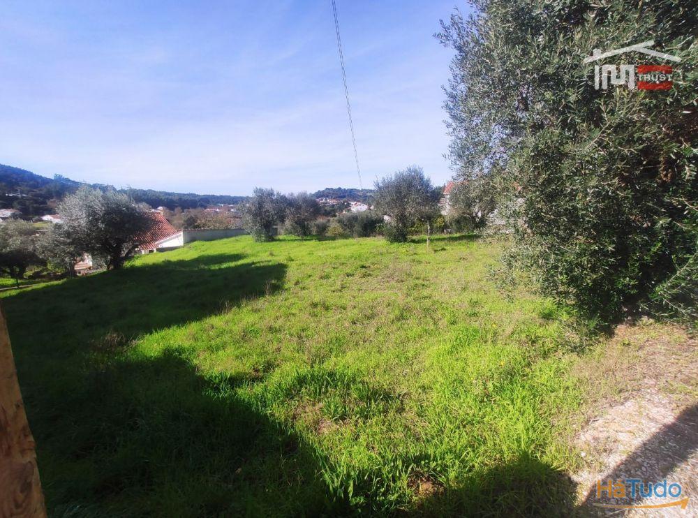 Terreno com possibilidade de construção a 2 Km da Cidade de Ourém Terreno com possibilidade de construção a 2 Km da Cidade de Ourém