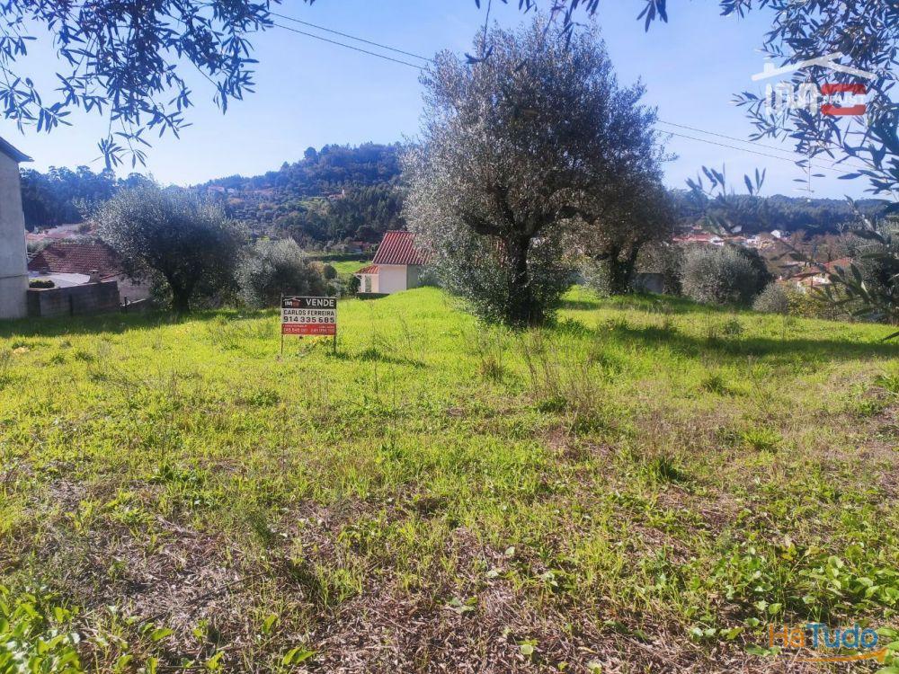 Terreno com possibilidade de construção a 2 Km da Cidade de Ourém Terreno com possibilidade de construção a 2 Km da Cidade de Ourém