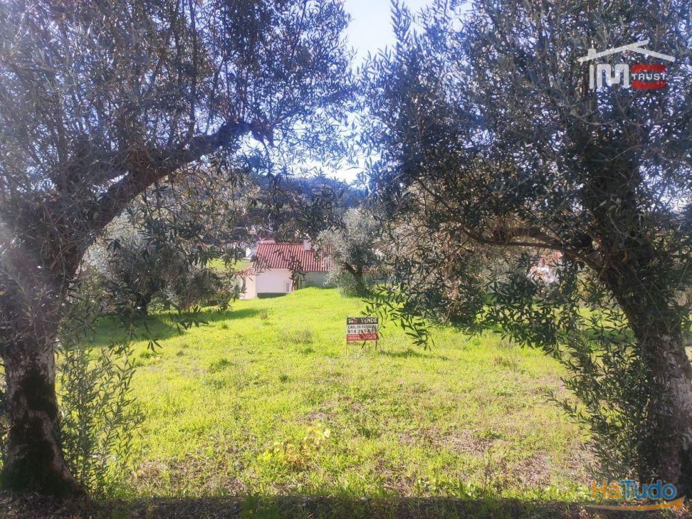 Terreno com possibilidade de construção a 2 Km da Cidade de Ourém Terreno com possibilidade de construção a 2 Km da Cidade de Ourém