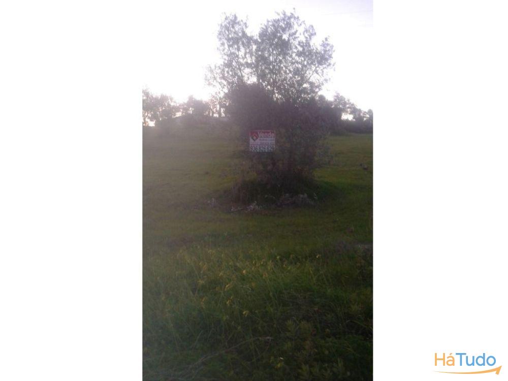 Terreno rústico na Recochina, Montargil Terreno rústico na Recochina, Montargil