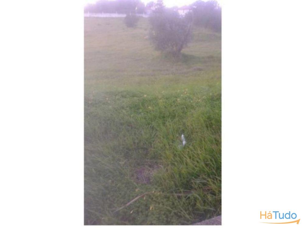 Terreno rústico na Recochina, Montargil Terreno rústico na Recochina, Montargil