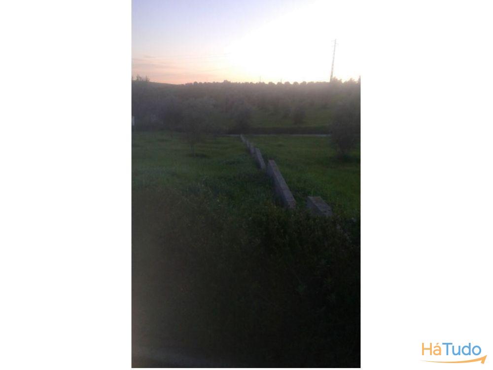 Terreno rústico na Recochina, Montargil Terreno rústico na Recochina, Montargil