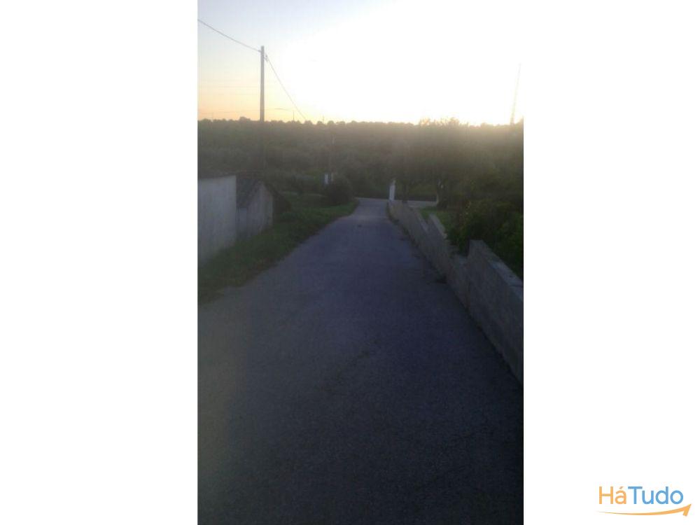 Terreno rústico na Recochina, Montargil Terreno rústico na Recochina, Montargil