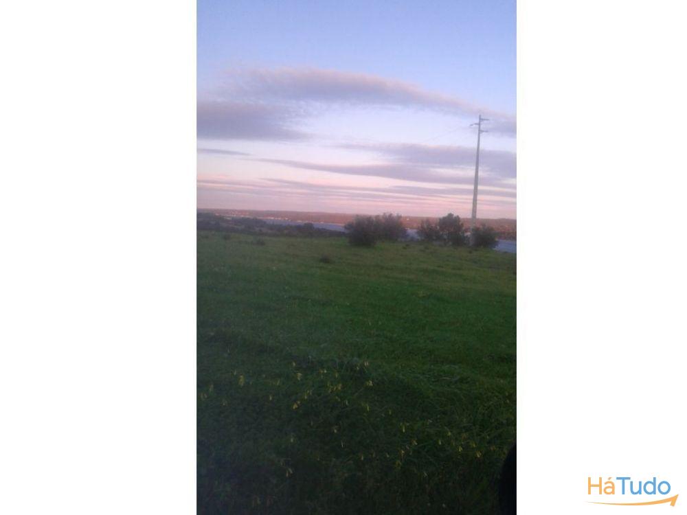 Terreno rústico na Recochina, Montargil Terreno rústico na Recochina, Montargil