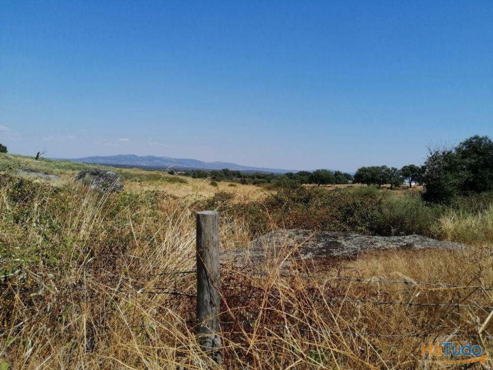 Propriedade rústica em Alpalhão Propriedade rústica em Alpalhão