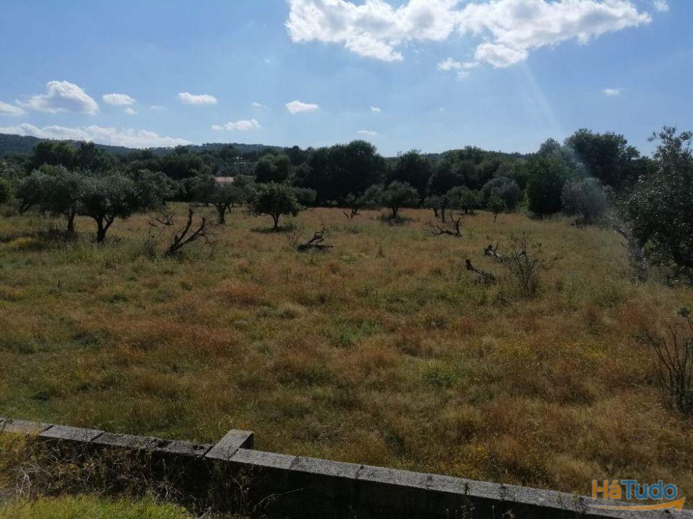 Propriedade rústica_Vargem (Portalegre) Propriedade rústica_Vargem (Portalegre)