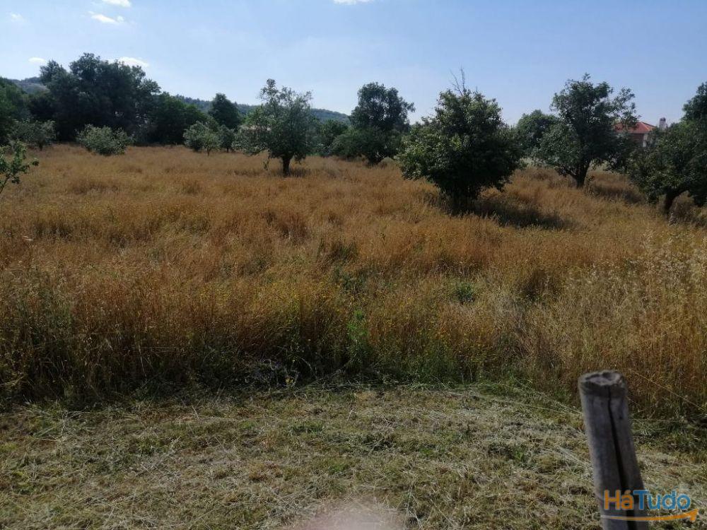 Propriedade rústica_Vargem (Portalegre) Propriedade rústica_Vargem (Portalegre)