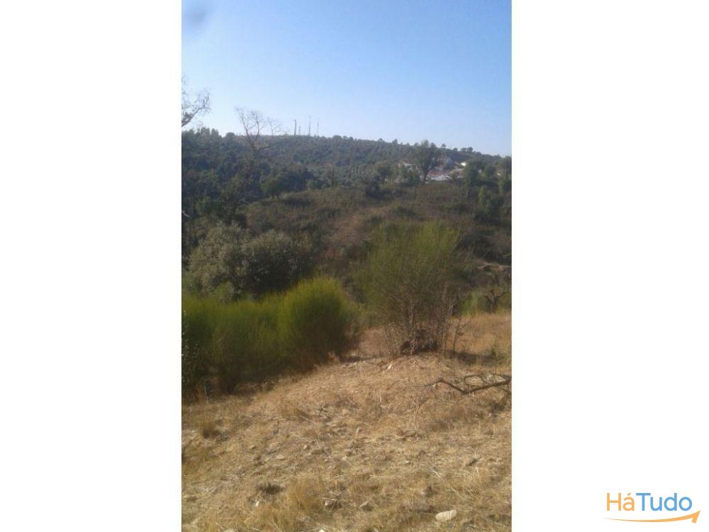 Cova do Linho_Rústico Cova do Linho_Rústico