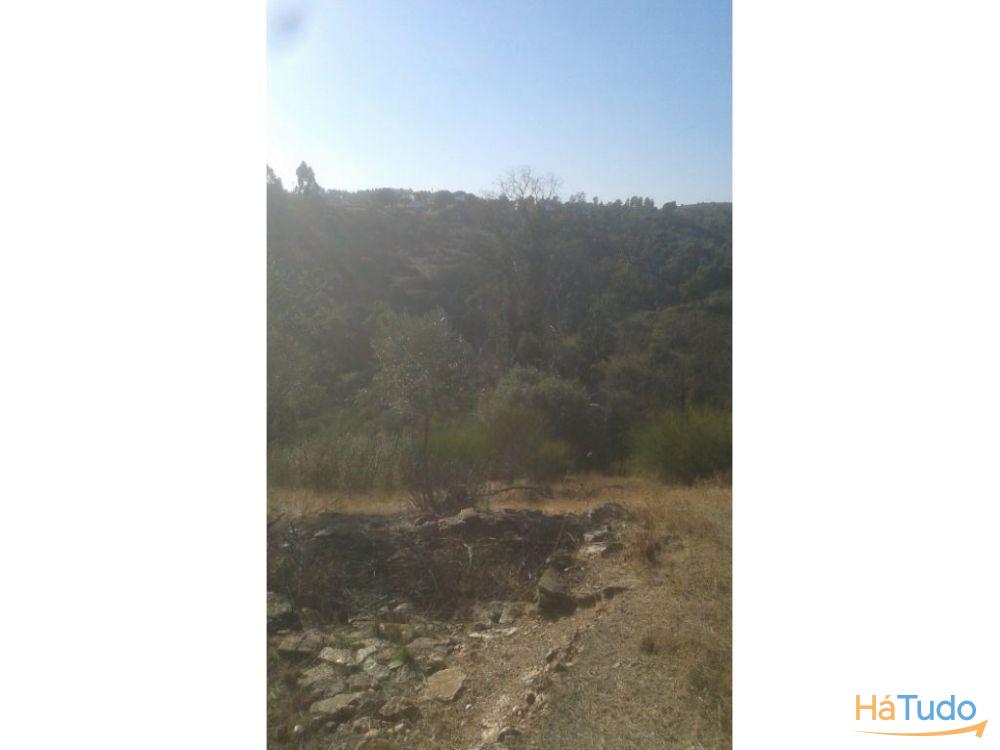 Cova do Linho_Rústico Cova do Linho_Rústico