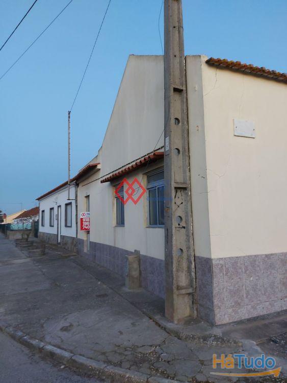 Armazém em Alpiarça Armazém em Alpiarça