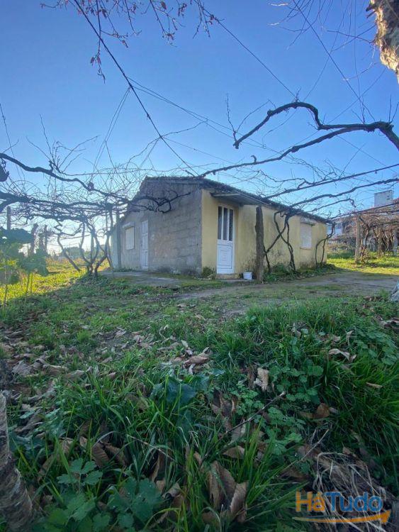 Propriedade rústica, para venda, Lousada - Meinedo Propriedade rústica, para venda, Lousada - Meinedo