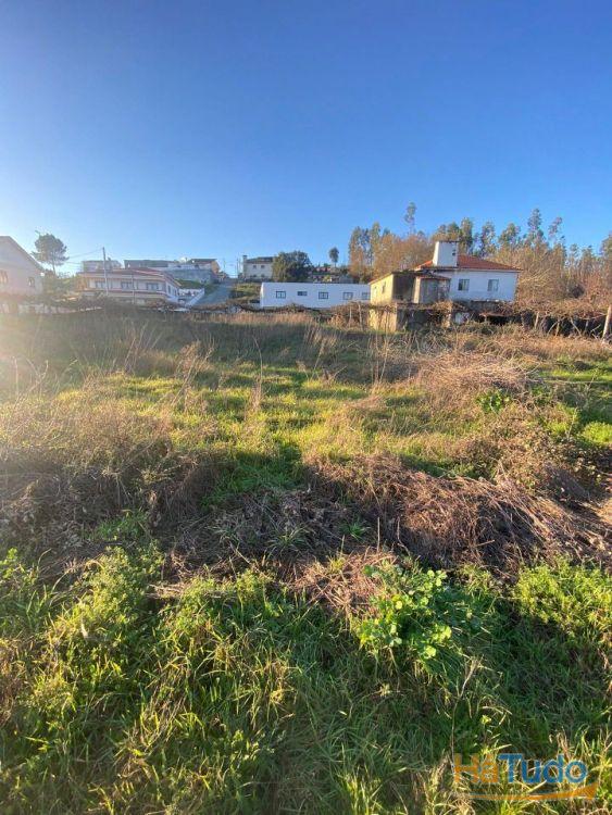 Propriedade rústica, para venda, Lousada - Meinedo Propriedade rústica, para venda, Lousada - Meinedo