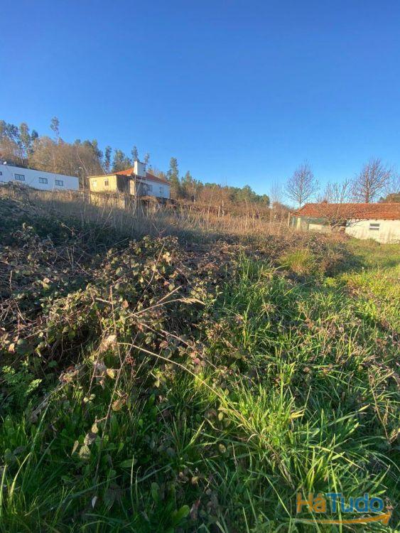 Propriedade rústica, para venda, Lousada - Meinedo Propriedade rústica, para venda, Lousada - Meinedo