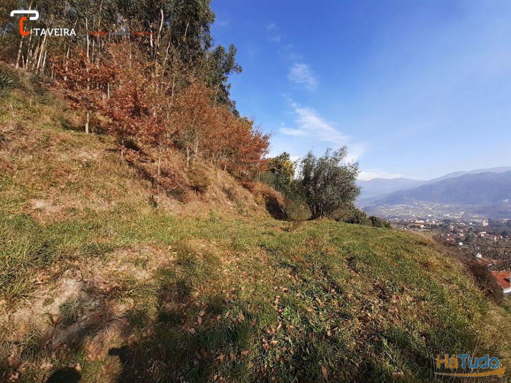 Terreno p/ construção + Ruina Terreno p/ construção + Ruina